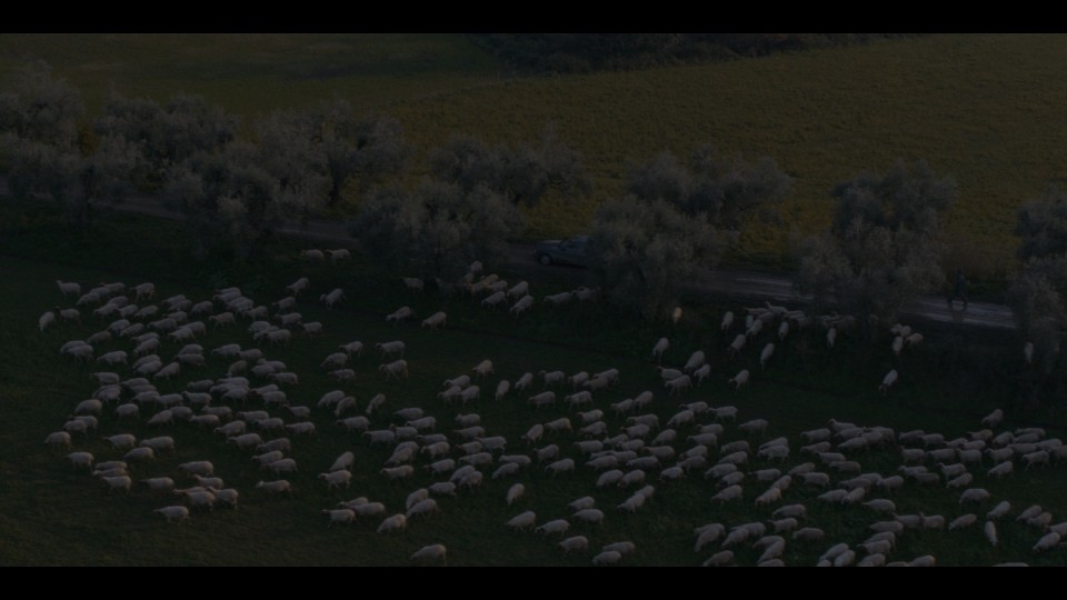 Immaculate.2024.2160p.UHD.Bluray.REMUX.HEVC.DTS-HDMA5.1-CHD.mkv_20240805_135424.750.jpg