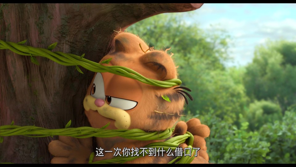 The.Garfield.Movie.2024.Bluray.1080p.iPad.AAC2.0.x264-CHDPAD.mp4_20240805_122434.757.jpg