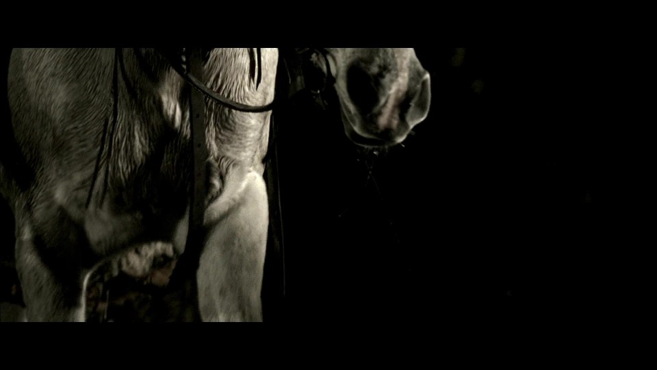 Pathfinder.2007.Bluray.1080p.iPad.AAC2.0.x264-CHDPAD.mp4_20240810_201639.209.jpg