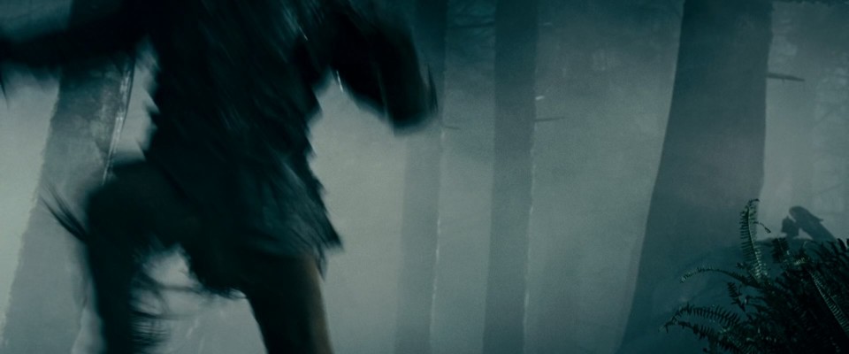 Pathfinder.2007.Bluray.1080p.DTS-HDMA5.1.x265.10bit-CHD.mkv_20240811_060712.917.jpg