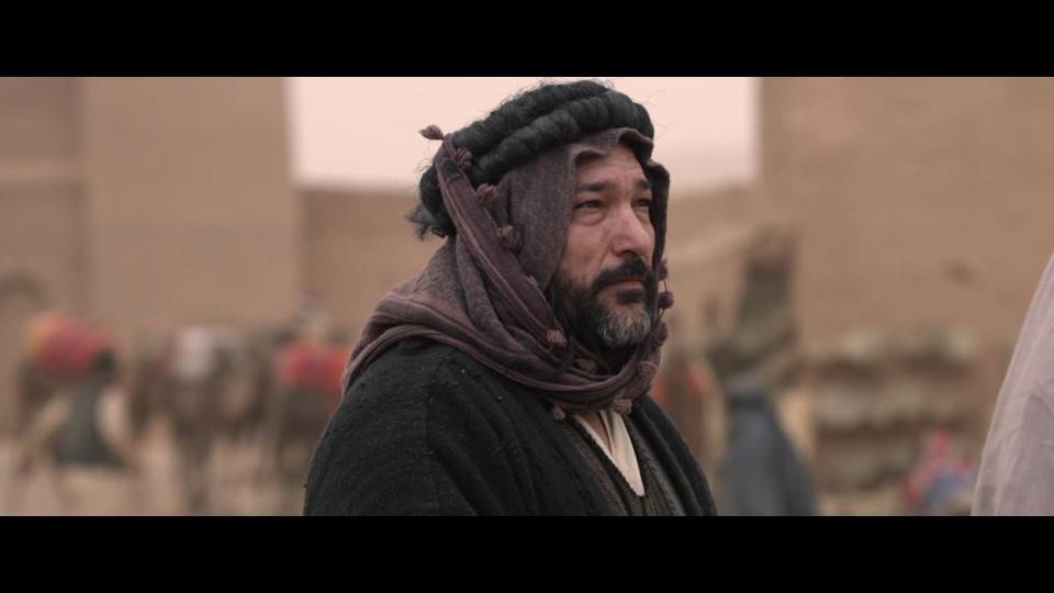 Queen.of.the.Desert.2015.BluRay.1080p.iPad.AAC2.0.x264-CHDPAD.mp4_20240905_064545.677.jpg