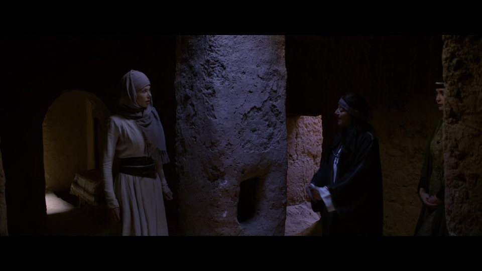 Queen.of.the.Desert.2015.BluRay.1080p.iPad.AAC2.0.x264-CHDPAD.mp4_20240905_064549.208.jpg