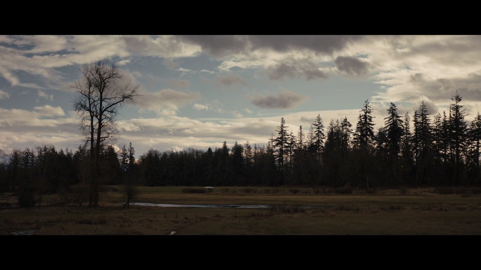 Longlegs.2024.Bluray.1080p.iPad.AAC2.0.x264-CHDPAD.mp4_20240924_214211.785.jpg