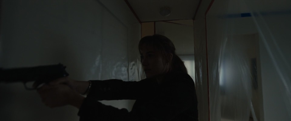 Longlegs.2024.Bluray.1080p.DTS-HDMA5.1.x265.10bit-CHD.mkv_20240925_071516.515.jpg