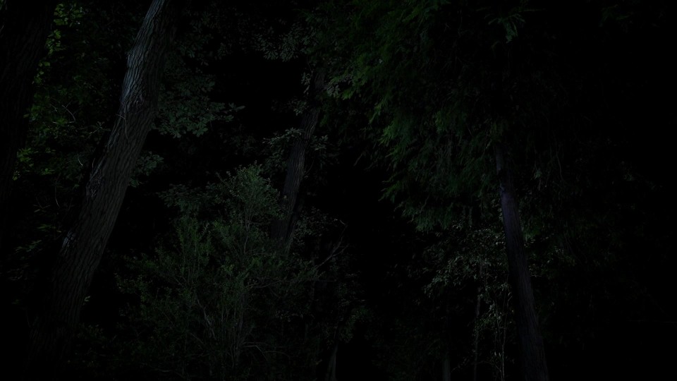 Shadow.of.Fire.2023.1080p.Bluray.REMUX.AVC.DTS-HDMA5.1-CHD.mkv_20241015_124446.739.jpg