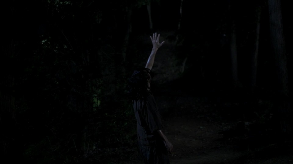 Shadow.of.Fire.2023.Bluray.1080p.DTS-HDMA5.1.x265.10bit-CHD.mkv_20241015_124534.352.jpg