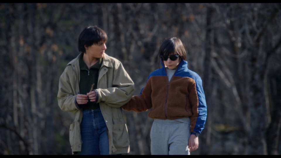 Anatomy.of.a.Fall.2023.Bluray.1080p.iPad.AAC2.0.x264-CHDPAD.mp4_20241027_182410.438.jpg
