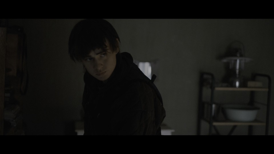 Arcadian.2024.2160p.UHD.Bluray.REMUX.HDR10.HEVC.DTS-HDMA5.1-CHD.mkv_20241029_105213.943.jpg