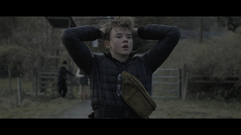 Arcadian.2024.2160p.UHD.Bluray.REMUX.HDR10.HEVC.DTS-HDMA5.1-CHD.mkv_20241029_105215.584.jpg