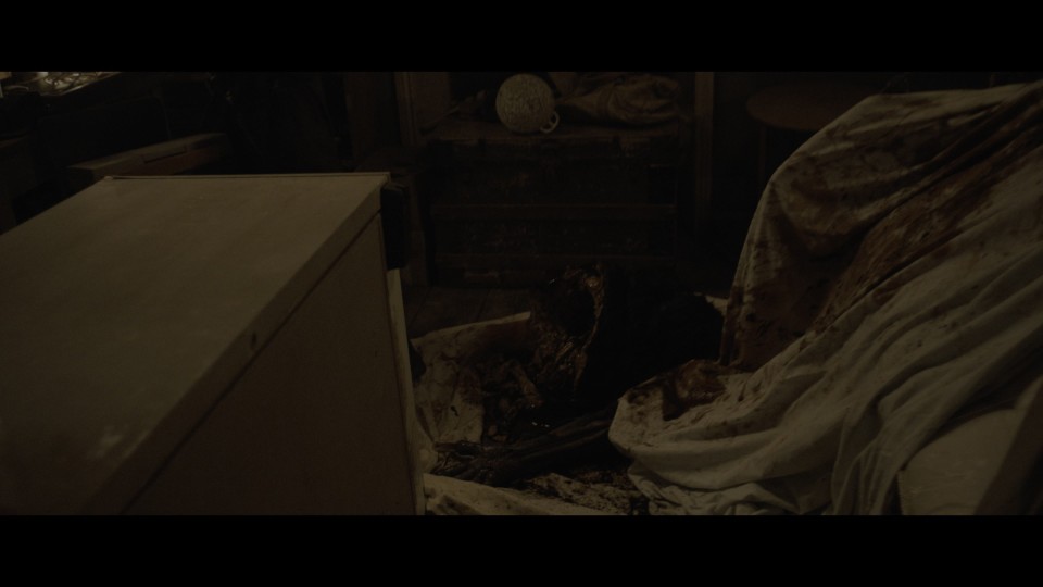 Arcadian.2024.2160p.UHD.Bluray.REMUX.HDR10.HEVC.DTS-HDMA5.1-CHD.mkv_20241029_105223.418.jpg