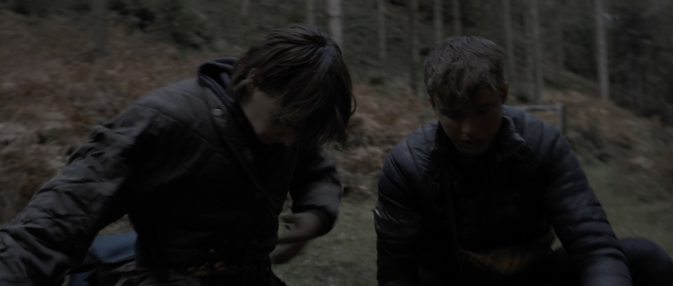 Arcadian.2024.Bluray.2160p.DTS-HDMA5.1.HDR.x265.10bit-CHD.mkv_20241029_105046.171.jpg