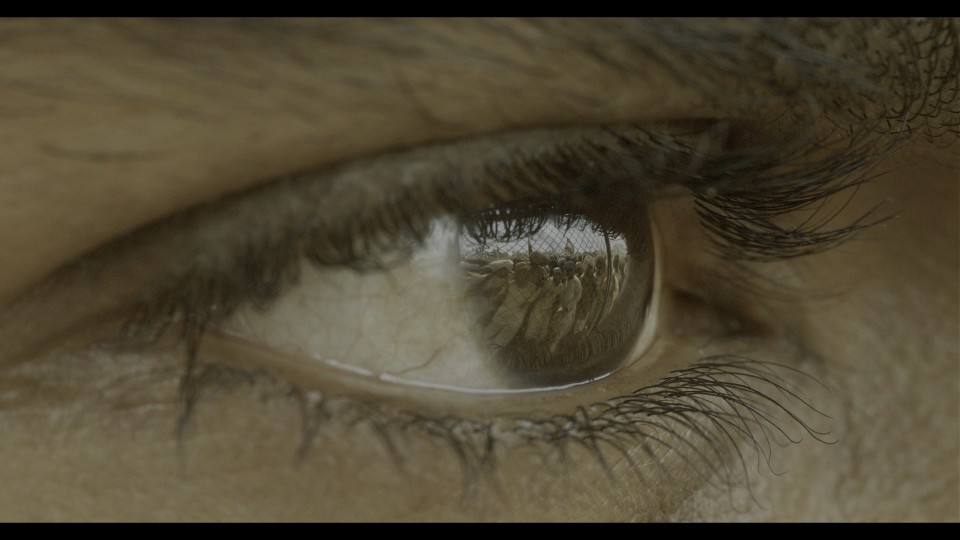 Rise.Roar.Revolt.2022.2160p.UHD.Bluray.REMUX.HEVC.TrueHD7.1-CHD.mkv_20241029_235021.293.jpg