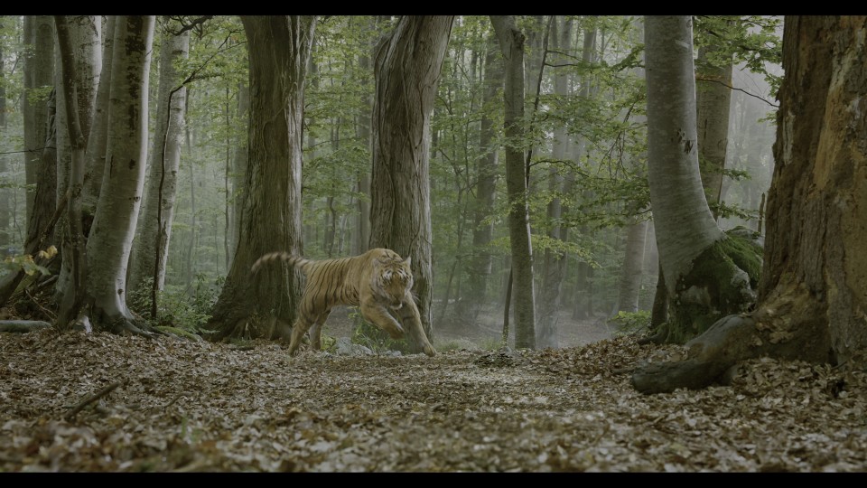 Rise.Roar.Revolt.2022.2160p.UHD.Bluray.REMUX.HEVC.TrueHD7.1-CHD.mkv_20241029_235023.204.jpg