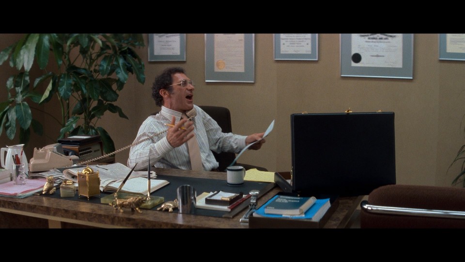 Tootsie.1982.1080p.Bluray.REMUX.AVC.DTS-HDMA5.0-CHD.mkv_20241104_131804.741.jpg