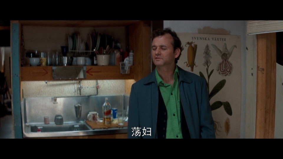 Tootsie.1982.Bluray.1080p.iPad.AAC2.0.x264-CHDPAD.mp4_20241104_132204.656.jpg