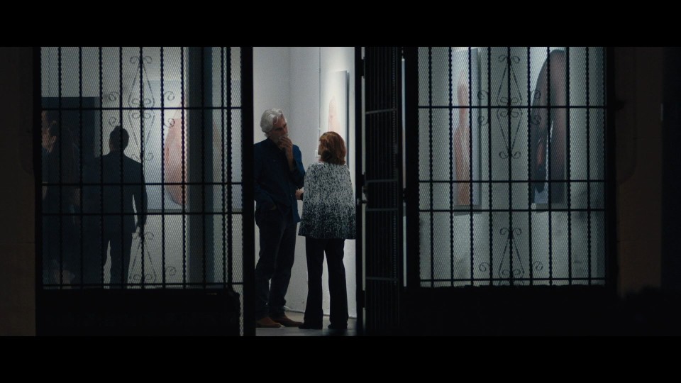 The.Hero.2017.1080p.Bluray.REMUX.AVC.DTS-HDMA5.1-CHD.mkv_20241108_233920.493.jpg
