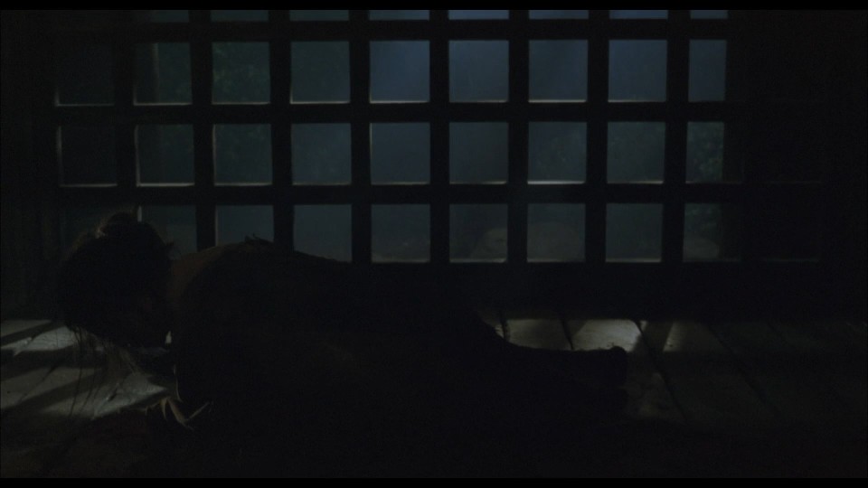 The.Hidden.Blade.2004.Bluray.1080p.iPad.AAC2.0.x264-CHDPAD.mp4_20241111_183729.990.jpg