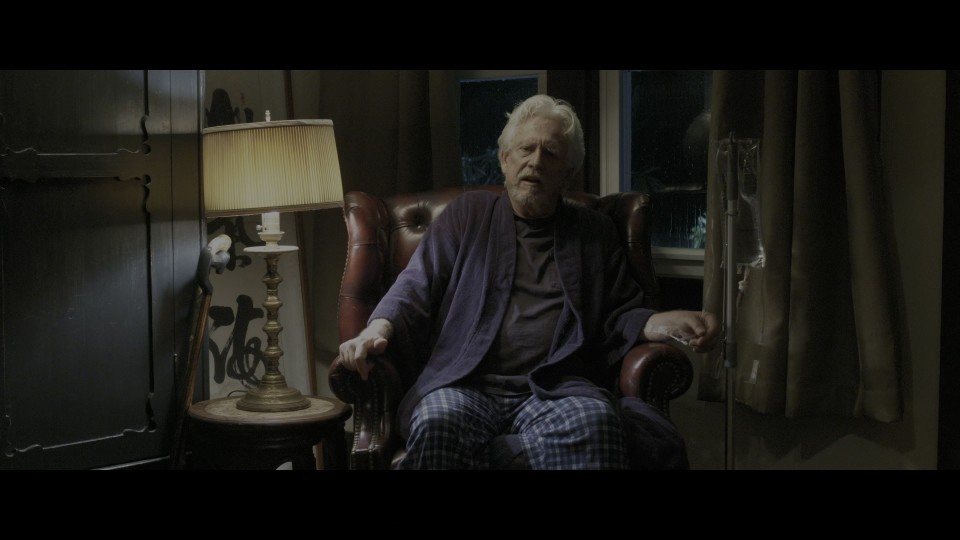 Itsy.Bitsy.2019.2160p.UHD.Bluray.REMUX.HEVC.DTS-HDMA5.1-CHD.mkv_20241117_232815.231.jpg