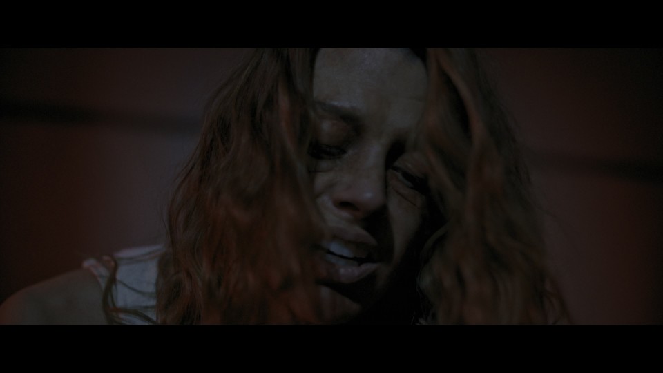 Itsy.Bitsy.2019.2160p.UHD.Bluray.REMUX.HEVC.DTS-HDMA5.1-CHD.mkv_20241117_232823.476.jpg