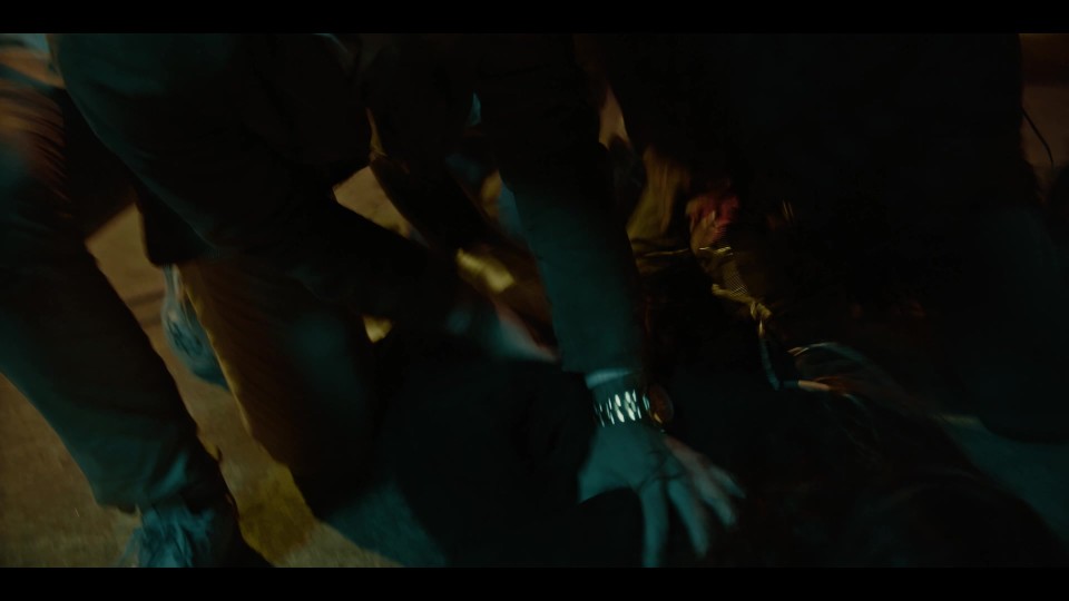 World.Ends.at.Camp.Z.2021.1080p.Bluray.REMUX.AVC.DD2.0-CHD.mkv_20241126_111159.840.jpg