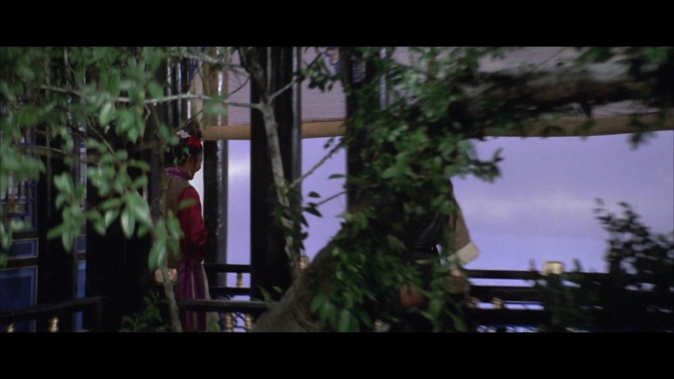 Facets.of.Love.1973.1080p.Bluray.REMUX.AVC.LPCM2.0-CHD.mkv_20241204_192610.694.jpg