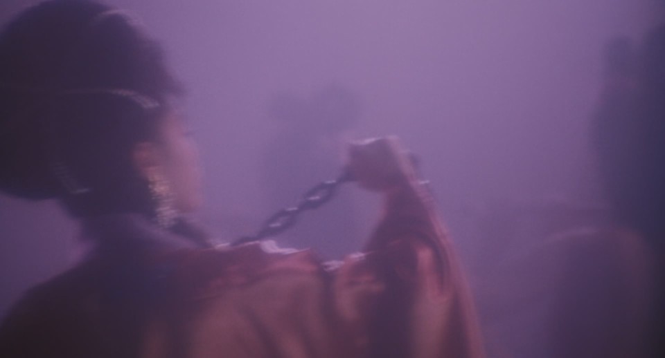 Sex.and.Zen.1991.Bluray.1080p.DTS-HDMA5.1.x265.10bit-CHD.mkv_20241206_110741.961.jpg