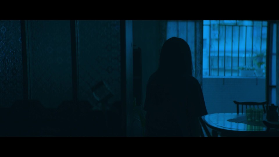 Born.to.Be.Human.2021.1080p.Bluray.REMUX.AVC.LPCM5.1-CHD.mkv_20241208_192647.005.jpg