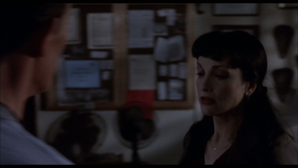 The.Faculty.1998.1080p.Bluray.REMUX.AVC.DTS-HDMA5.1-CHD.mkv_20241213_151202.313.jpg