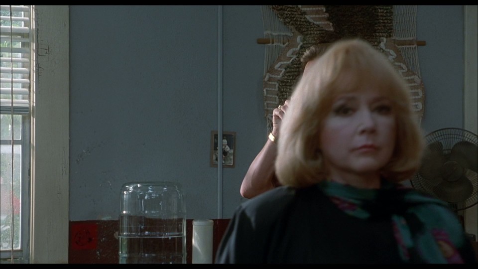 The.Faculty.1998.1080p.Bluray.REMUX.AVC.DTS-HDMA5.1-CHD.mkv_20241213_151205.705.jpg