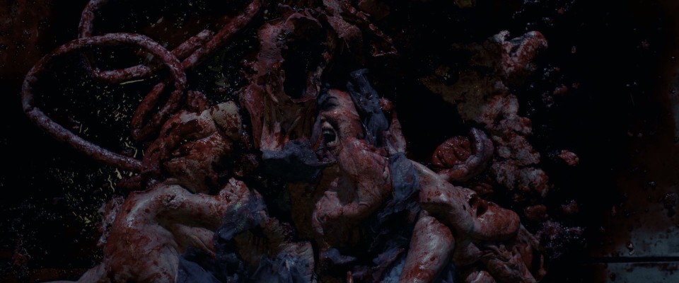 The.Faculty.1998.Bluray.1080p.DTS-HDMA5.1.x264-CHD.mkv_20241218_021148.494.jpg