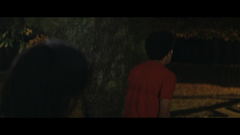 The.Lost.Boys.2023.1080p.Bluray.REMUX.AVC.DTS-HDMA5.1-CHD.mkv_20250427_222253.220.jpg