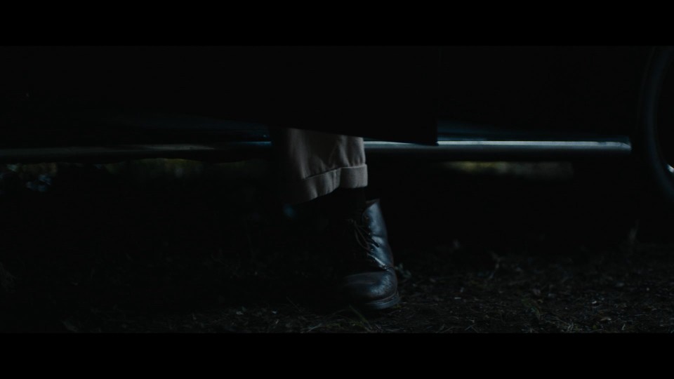 Lost.on.A.Mountain.in.Maine.2024.1080p.Bluray.REMUX.AVC.DTS-HDMA5.1-CHD.mkv_20250527_102935.295.jpg