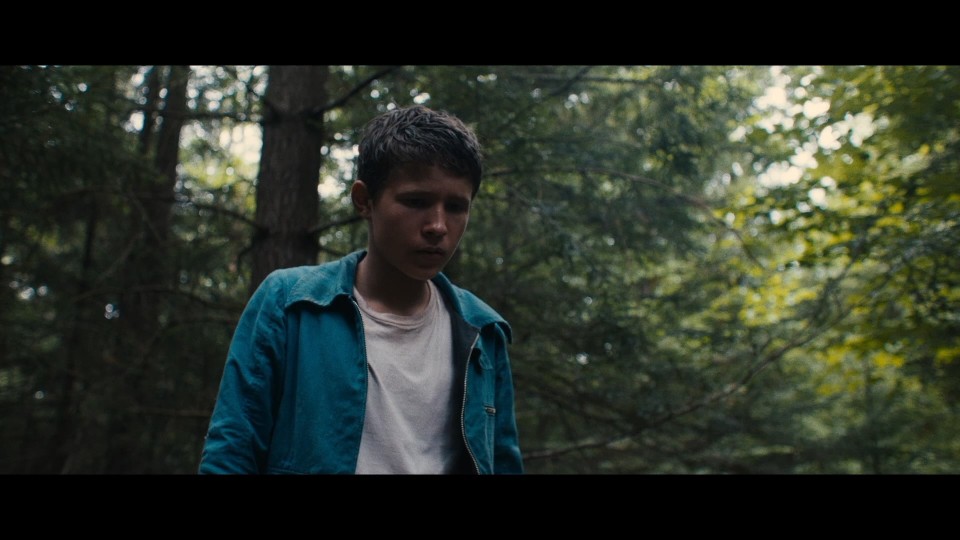 Lost.on.A.Mountain.in.Maine.2024.1080p.Bluray.REMUX.AVC.DTS-HDMA5.1-CHD.mkv_20250527_102936.768.jpg