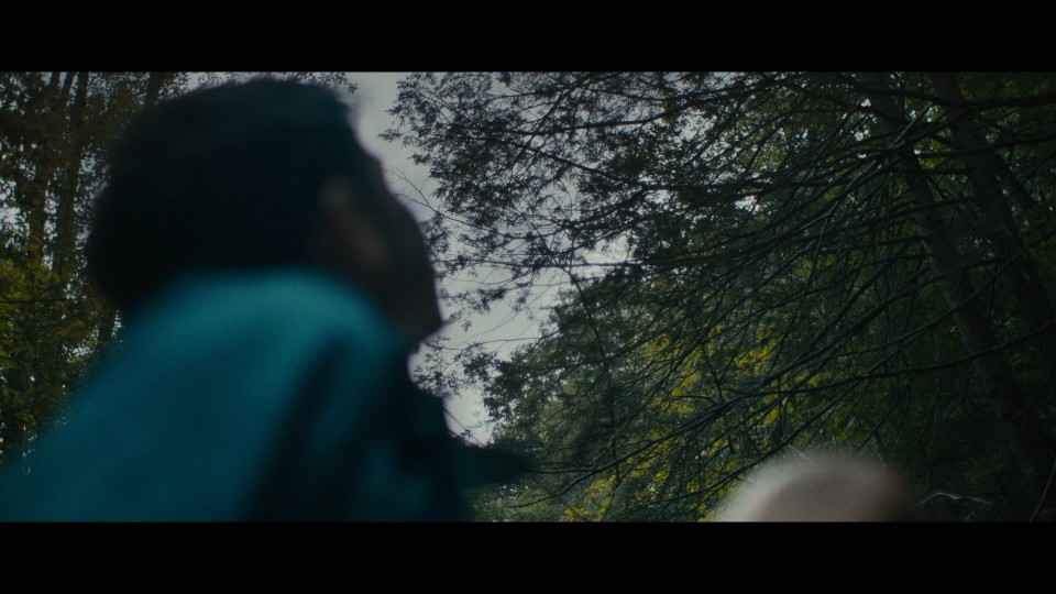 Lost.on.A.Mountain.in.Maine.2024.1080p.Bluray.REMUX.AVC.DTS-HDMA5.1-CHD.mkv_20250527_102939.177.jpg