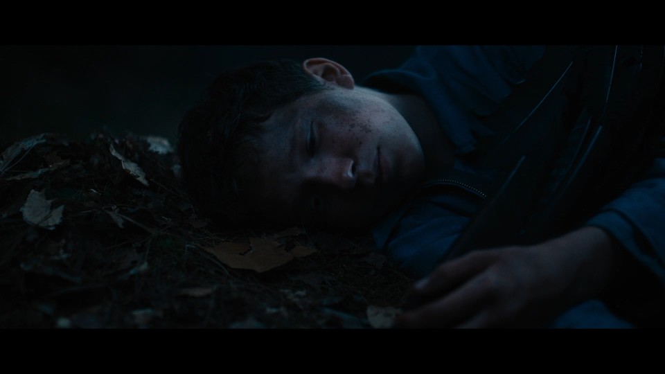 Lost.on.A.Mountain.in.Maine.2024.1080p.Bluray.REMUX.AVC.DTS-HDMA5.1-CHD.mkv_20250527_102940.973.jpg