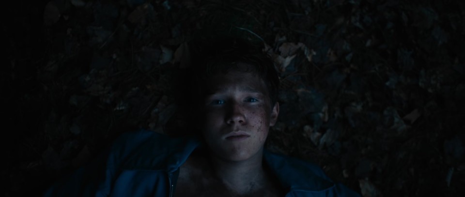Lost.on.A.Mountain.in.Maine.2024.Bluray.1080p.DTS-HDMA5.1.x265.10bit-CHD.mkv_20250527_103015.004.jpg