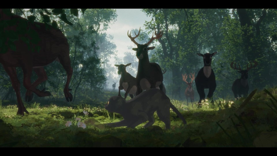 Flow.2024.1080p.Bluray.REMUX.AVC.DTS-HDMA5.1-CHD.mkv_20250627_223511.010.jpg
