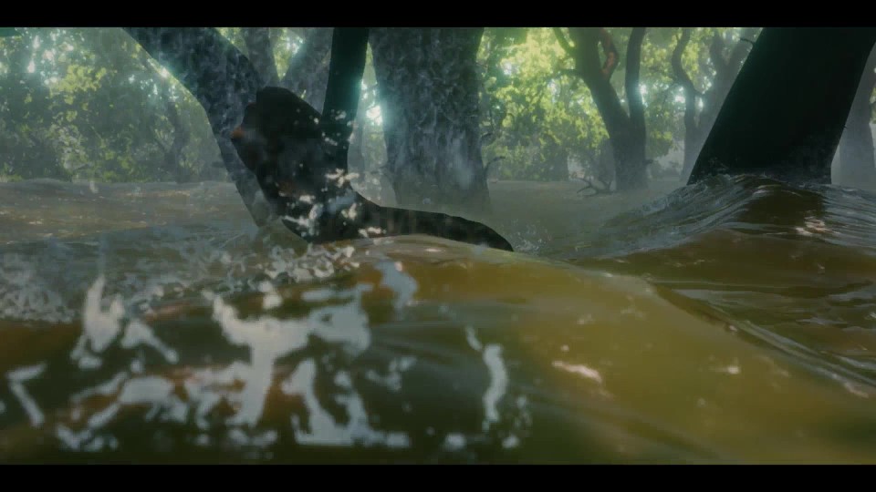 Flow.2024.Bluray.1080p.iPad.AAC2.0.x264-CHDPAD.mp4_20250627_223532.906.jpg