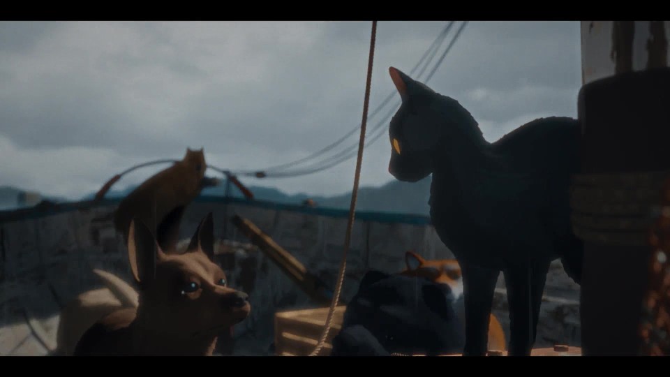 Flow.2024.Bluray.1080p.iPad.AAC2.0.x264-CHDPAD.mp4_20250627_223538.482.jpg